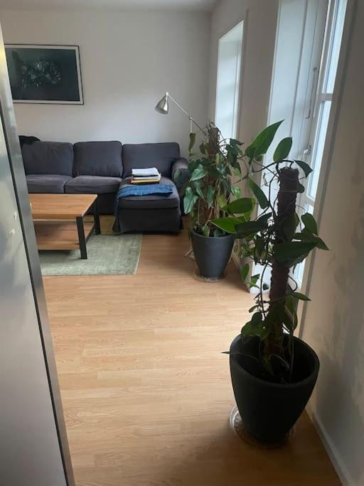 2 Bedroom Apartment Near The Sea Tisvilde Zewnętrze zdjęcie